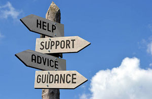 Tree Surgery {Advice|Information|Help and Information Yateley Hampshire